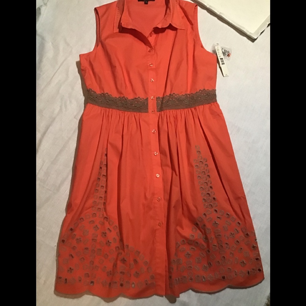 Women’s NWT Alex Marie size 14 sleeveless button down dress with cute embroidery